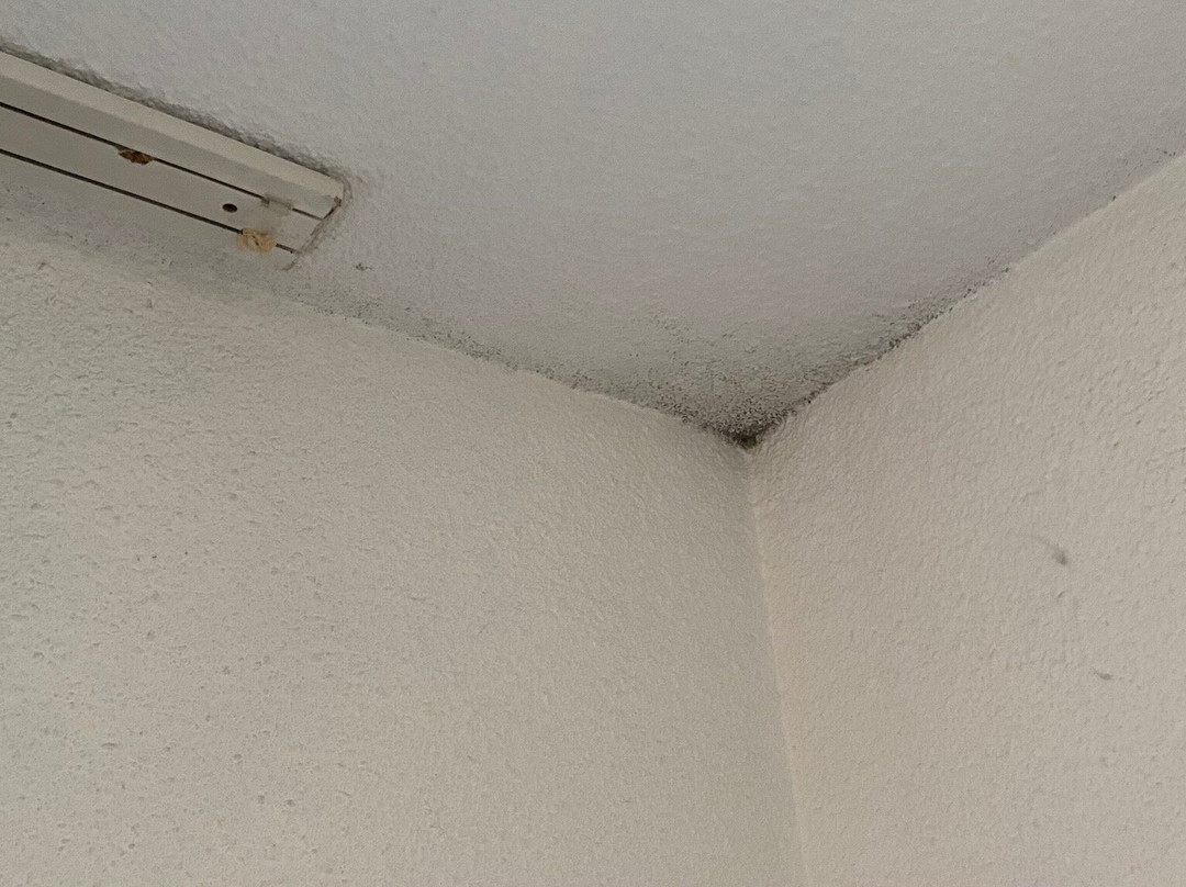 Logis Atoll Hôtel主图