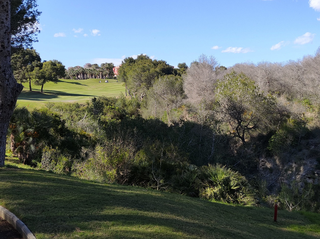 Ramblas Golf Course景点图片