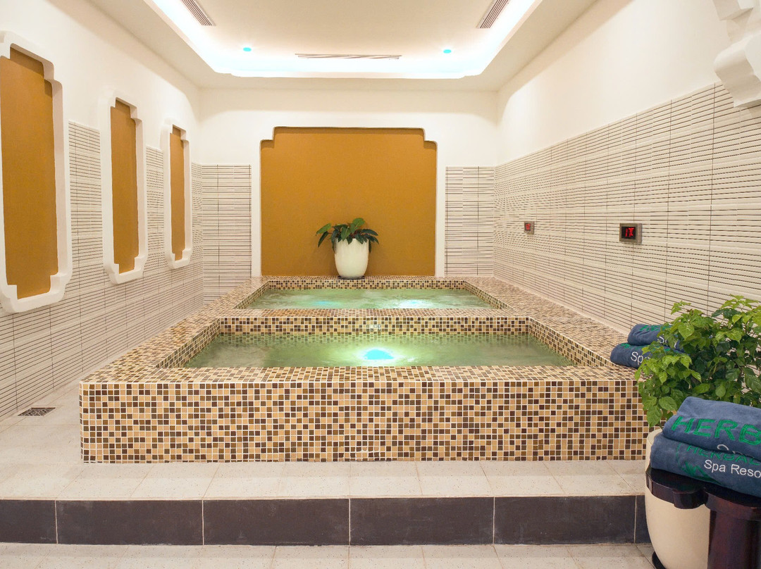 The Herbal Spa-Ong Lang必去景点