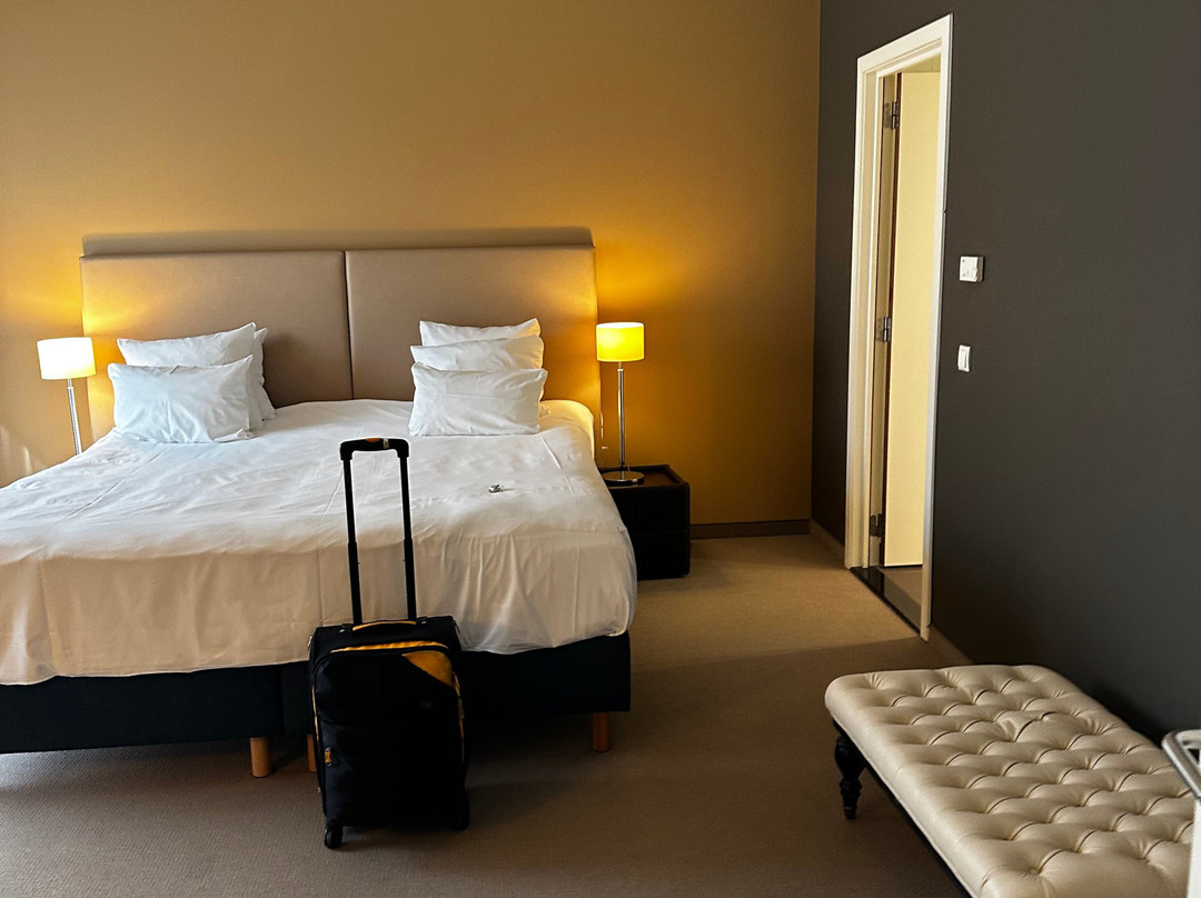 安特卫普林德纳酒店主图