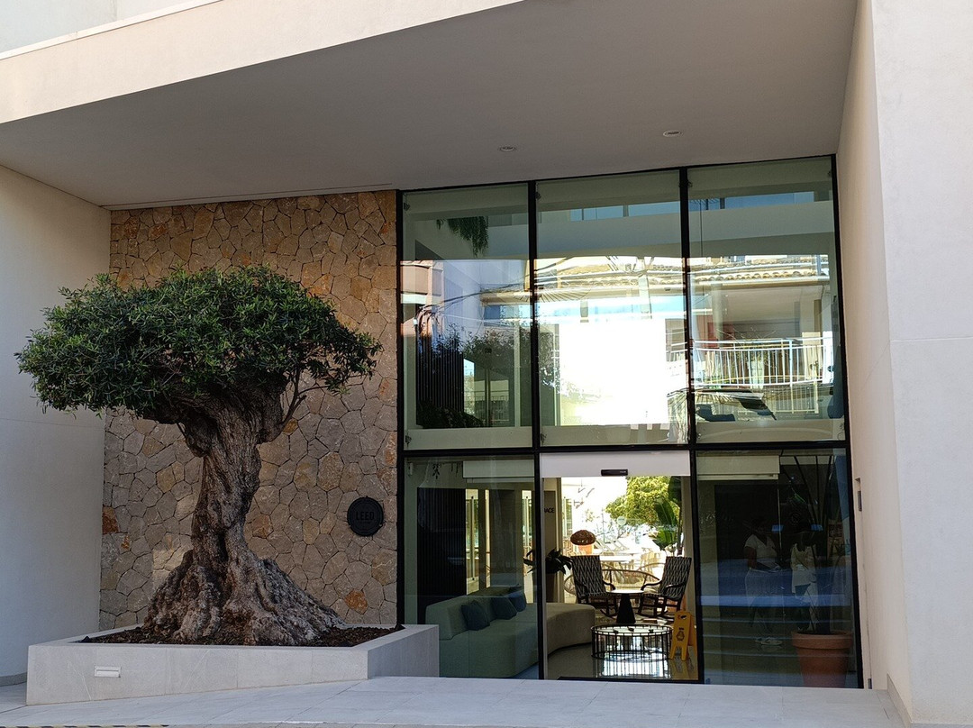 Hotel MIM Mallorca主图