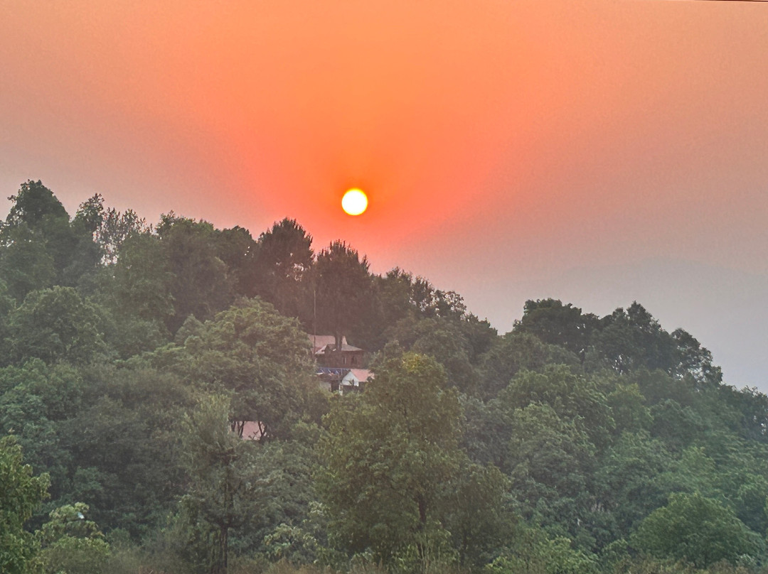 Osho Divine Zone景点图片