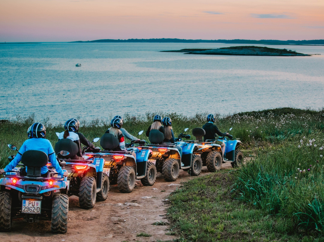 3M Quad Safari