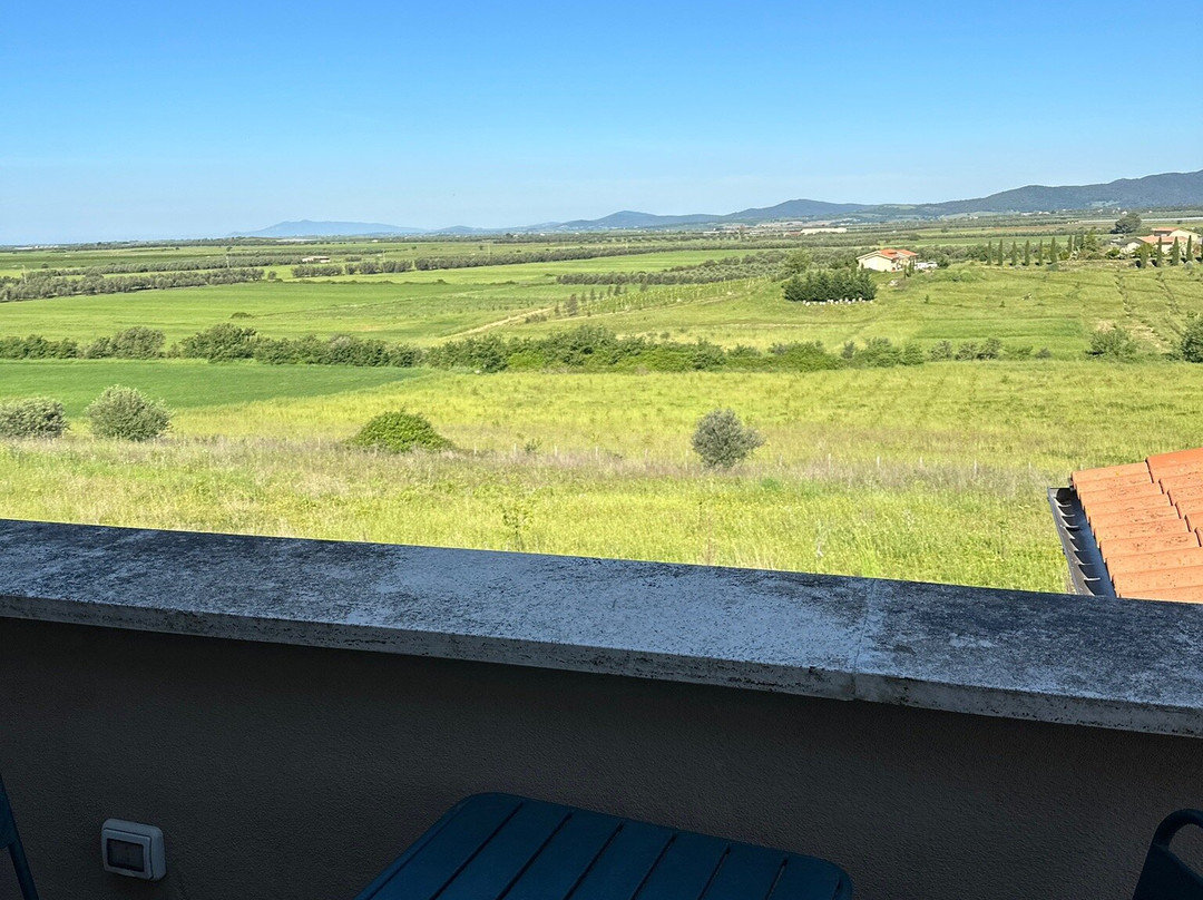 Il Poggio di Musignano
