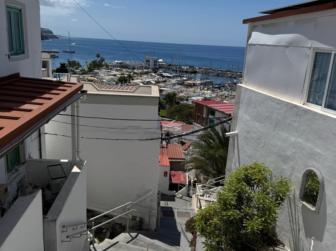Mirador de Puerto de Mogan景点图片