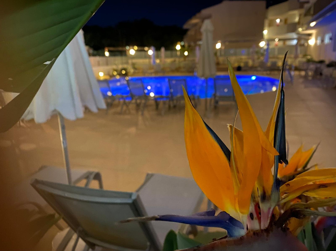 维斯塔公园酒店主图