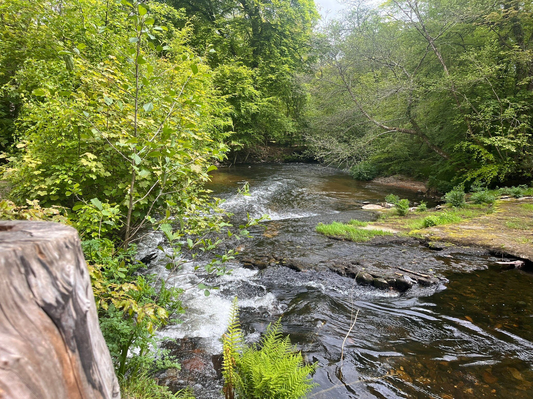 Parke-Bovey Tracey必去景点