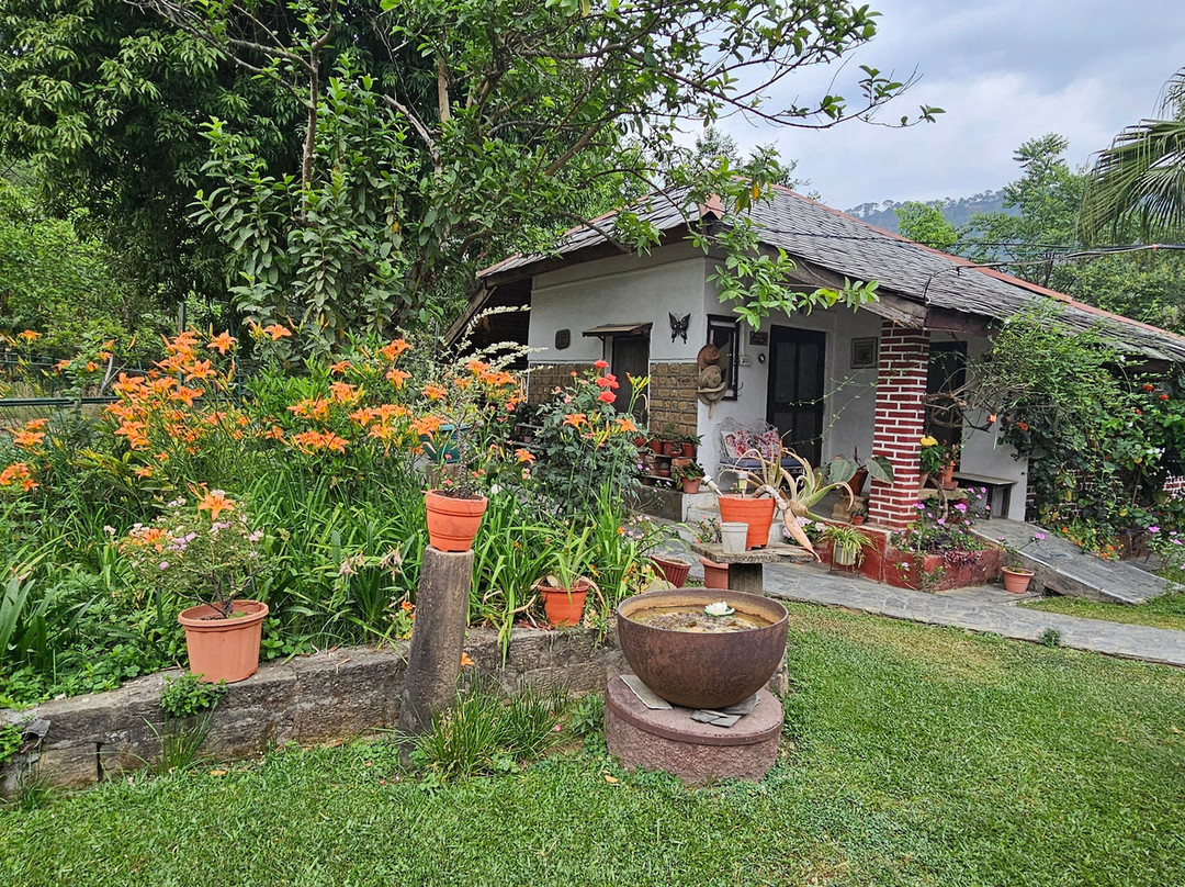 Darang Tea Estate主图