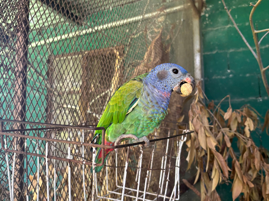 Jungla de Panama Wildlife Refuge景点图片