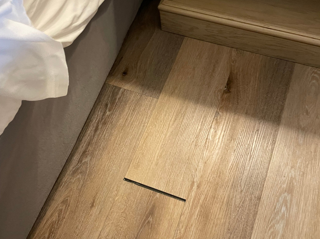 The Beach House主图