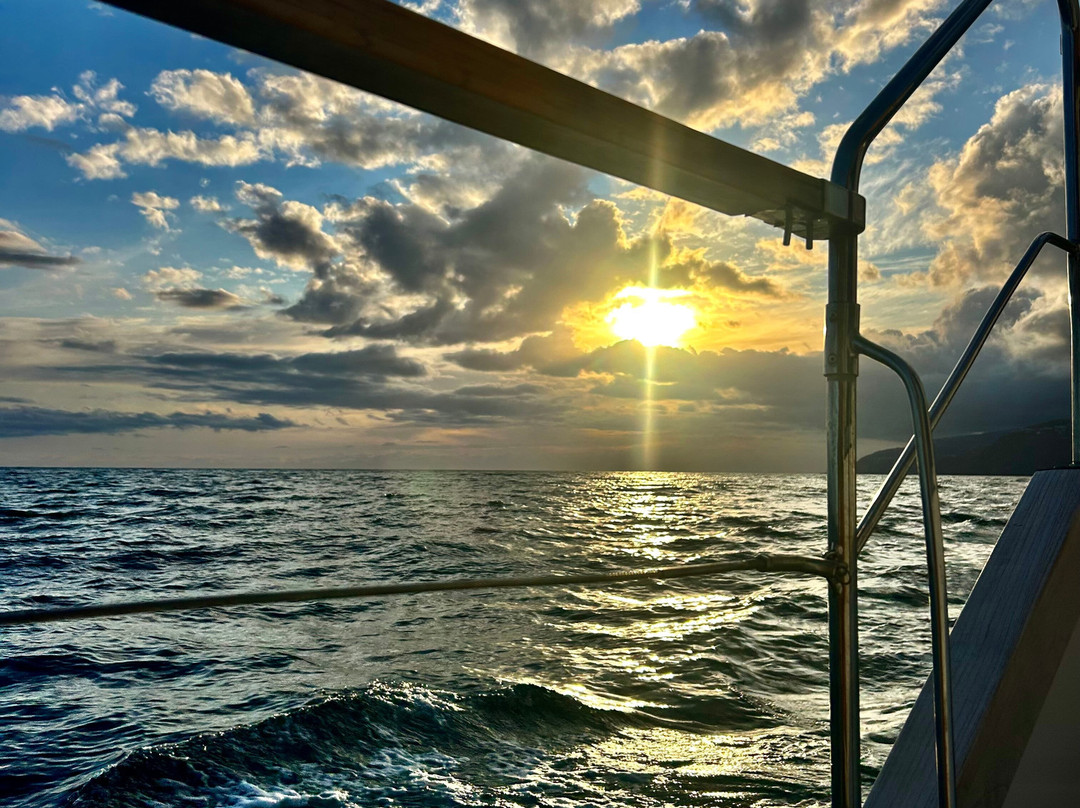 Madeira Friendly Guide-沙尔必去景点