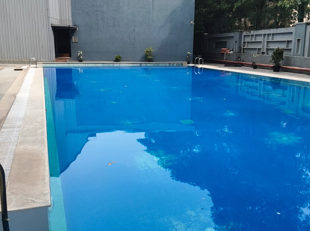 VIhang's Palm Club主图