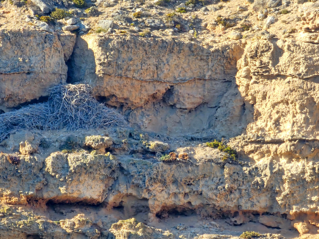 RAD KI-Stokes Bay必去景点