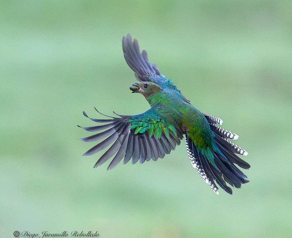 Geo Natura Tours-圣拉蒙必去景点