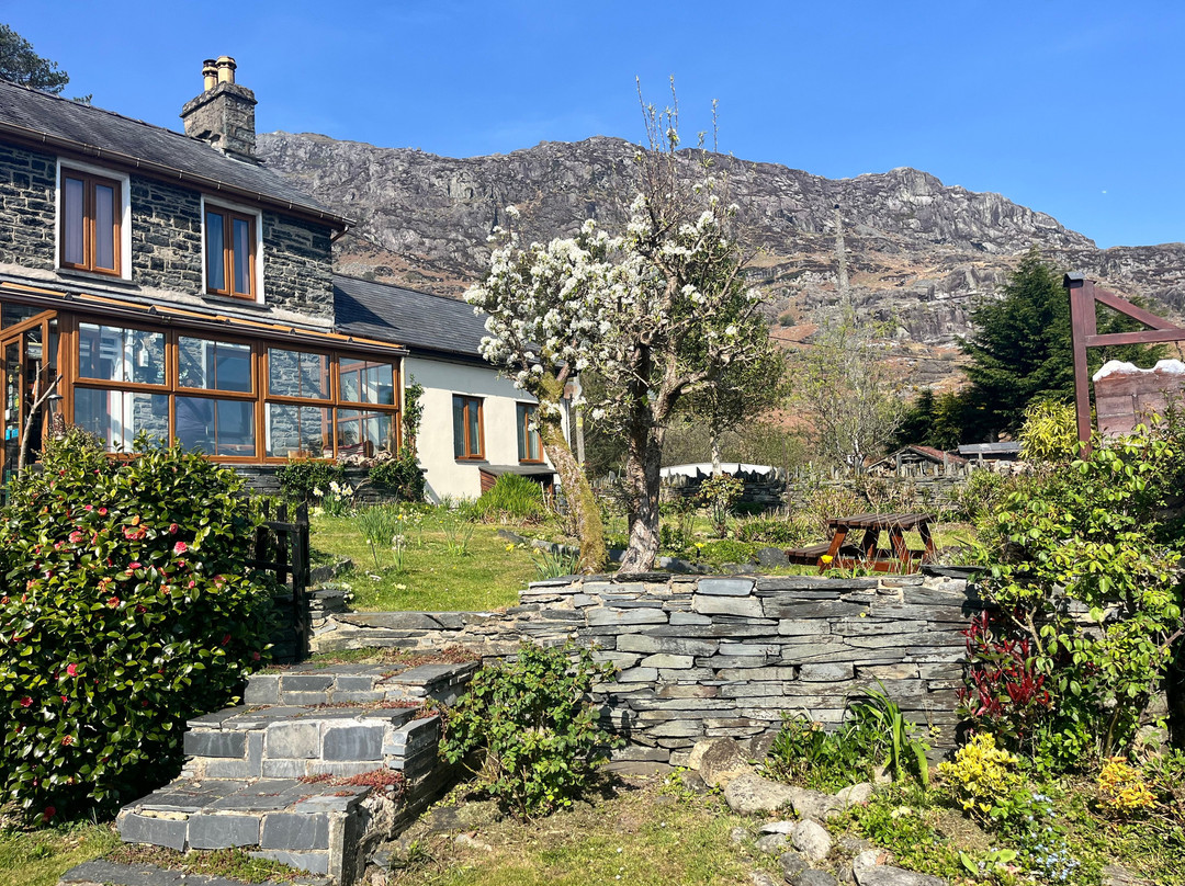 Bryn Elltyd eco Guest House主图