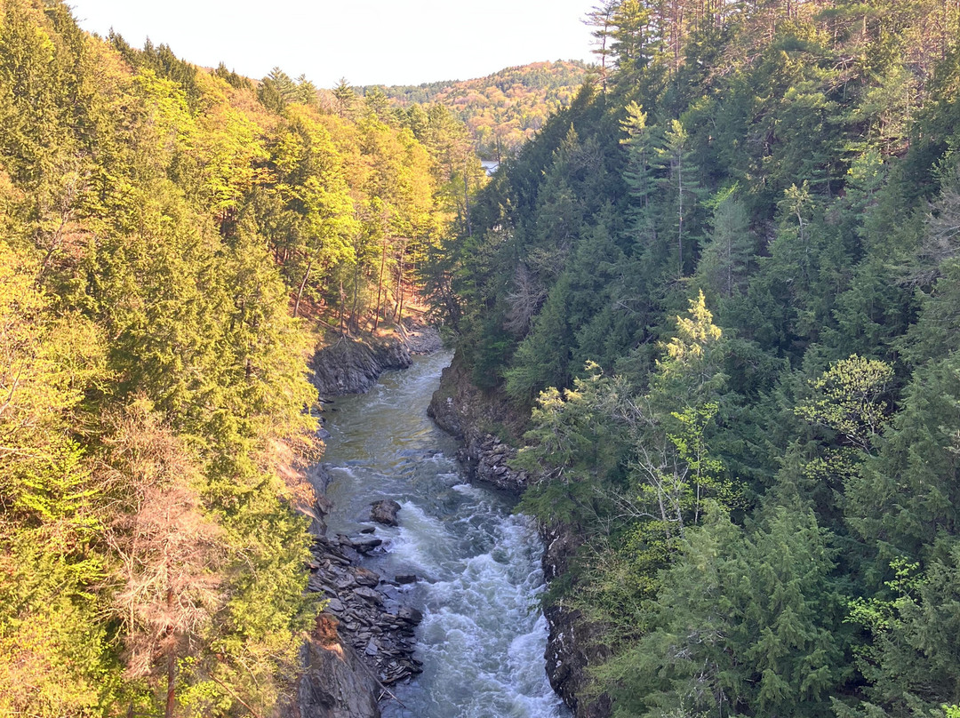 Sleep Woodstock Motel主图