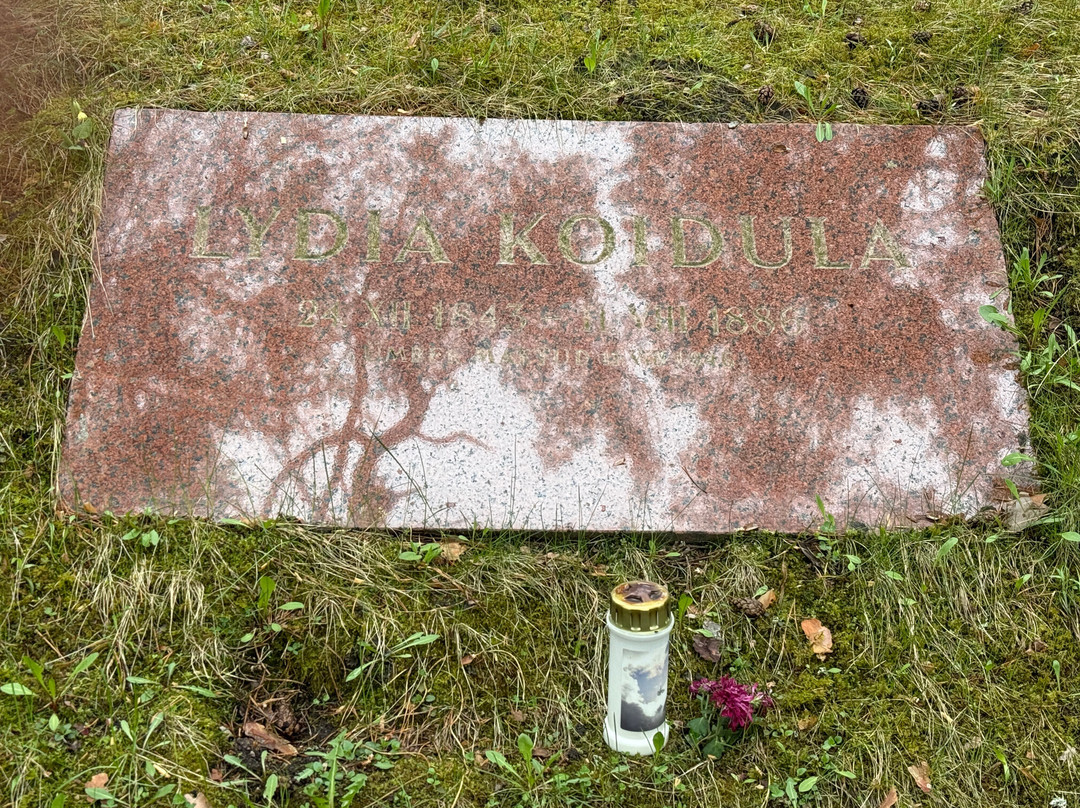 Metsakalmistu Cemetery-塔林必去景点