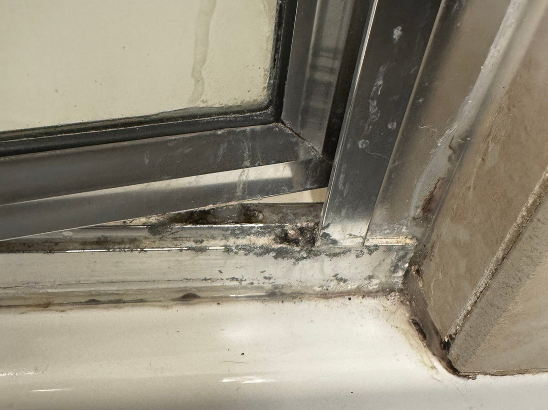 Holiday Inn & Suites Mckinney - N Allen By IHG主图