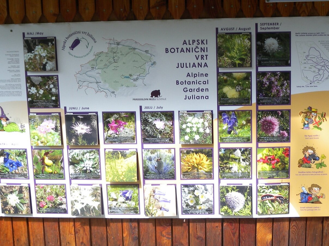Alpine Botanical Garden Juliana-Trenta必去景点