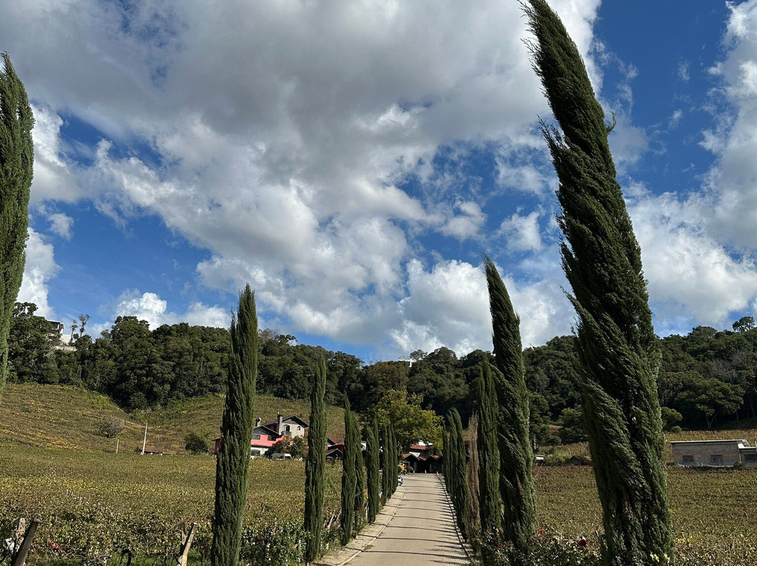 Cantina Tonet Winery-南卡希亚斯必去景点