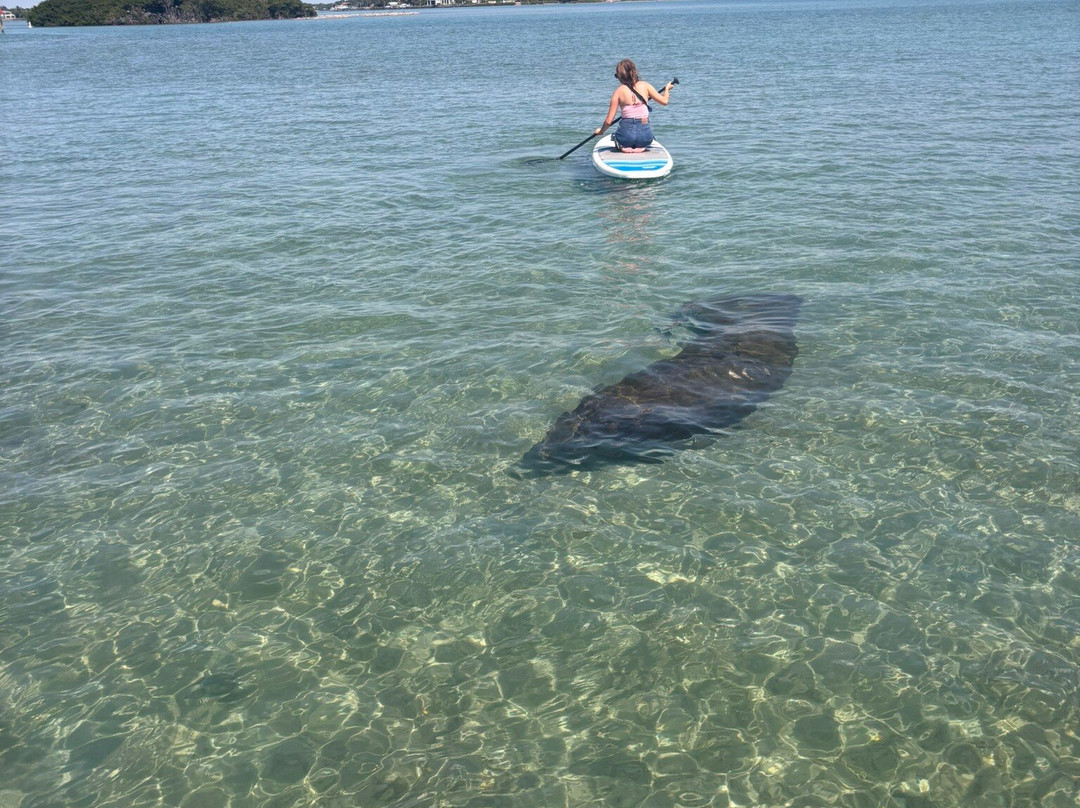 South Florida Paddle-North Palm Beach必去景点