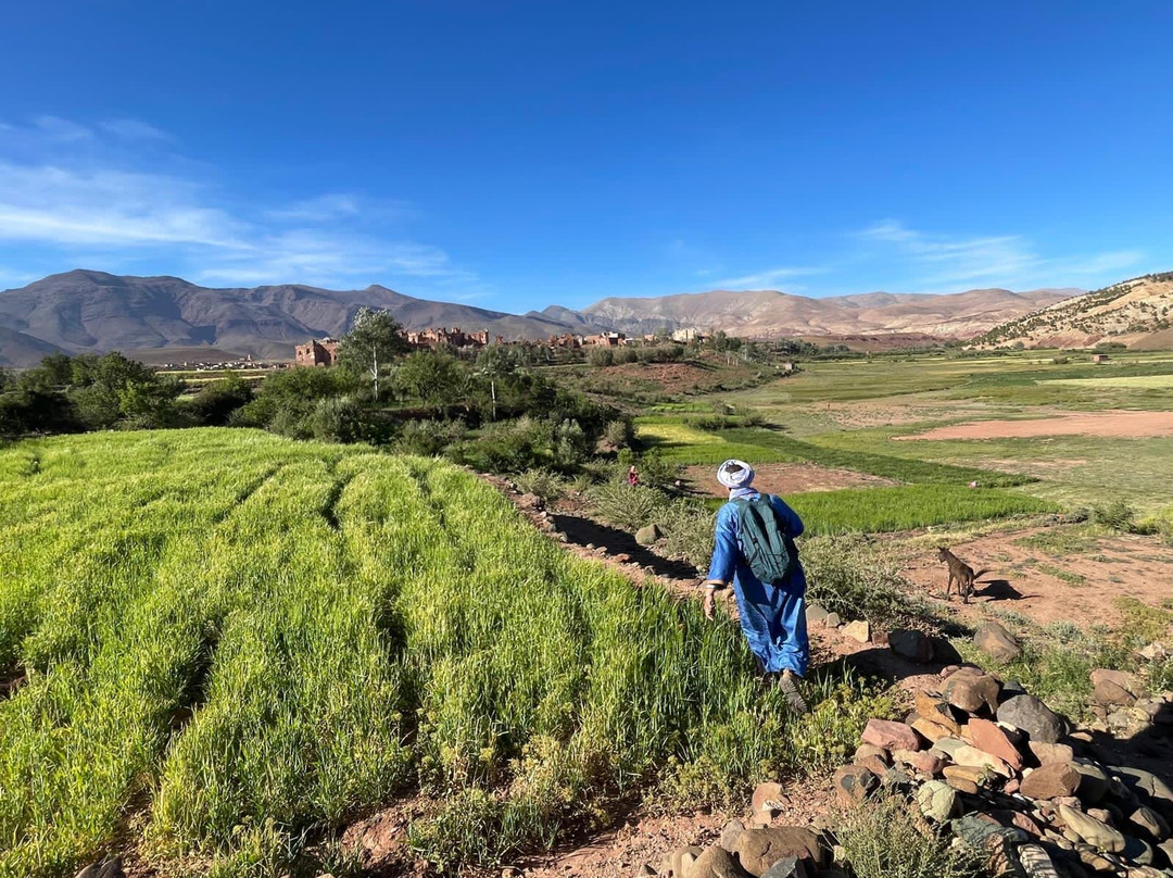 Jawad Atlas Guide Maroc