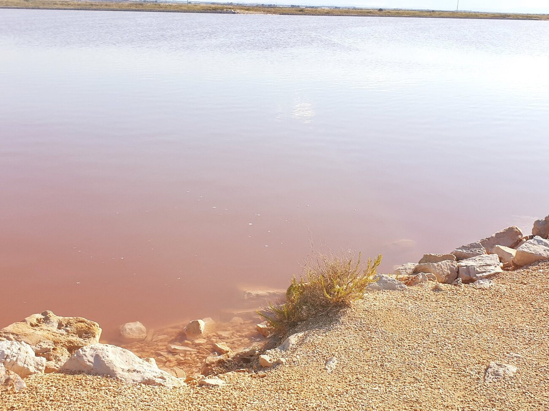 Riserva Naturale di Stato Saline di Margherita di Savoia-Margherita di Savoia必去景点