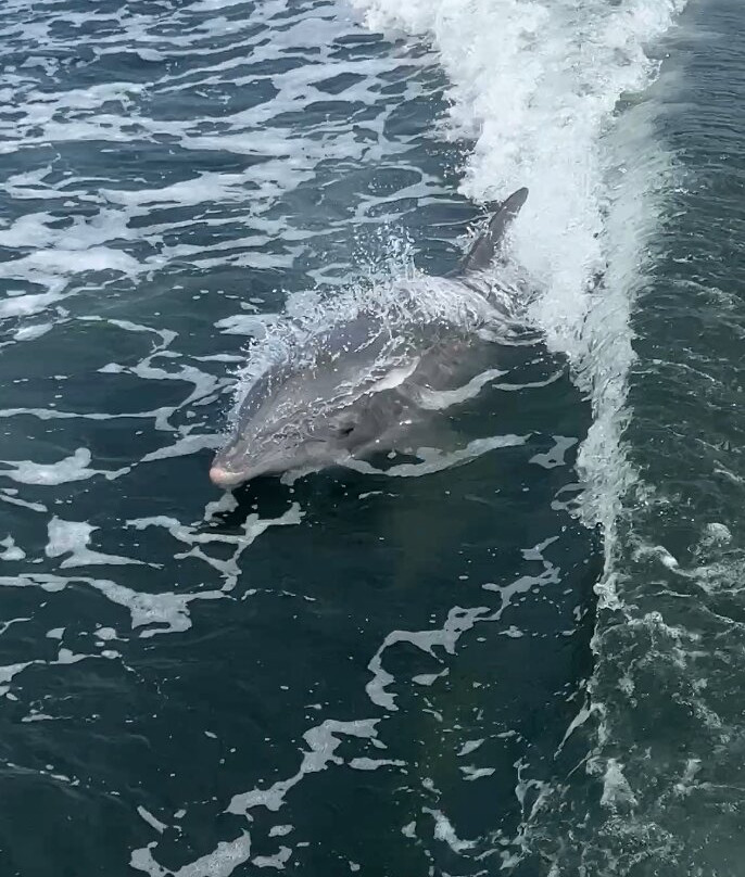 Good Natured River Tours-墨尔本必去景点