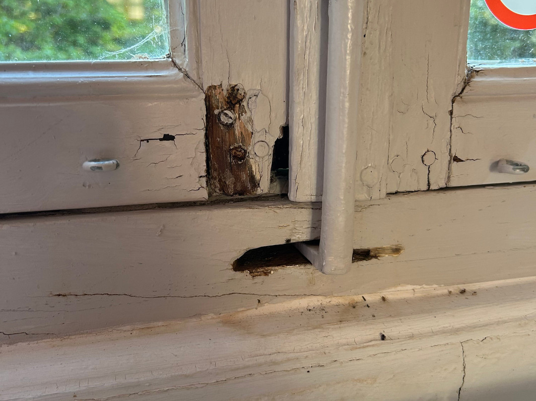 L'Auberge du Cedre主图