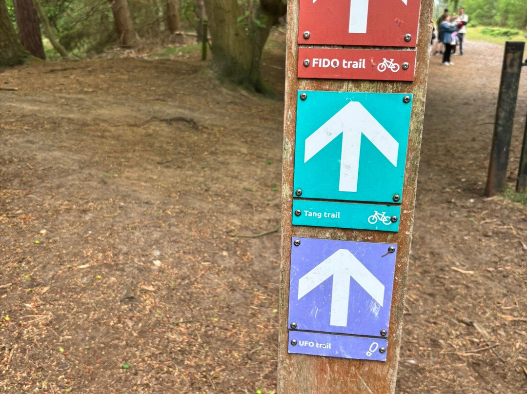 Rendlesham Forest Centre-Woodbridge必去景点