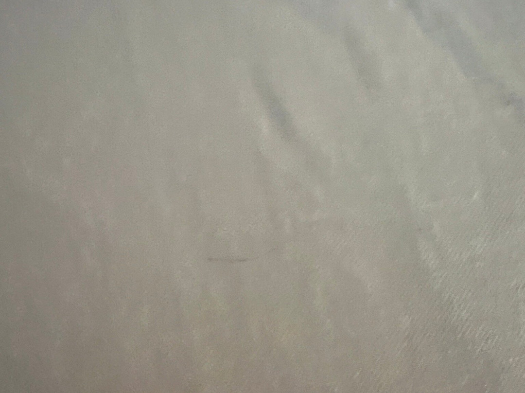 TownePlace Suites by Marriott Charlotte Mooresville主图