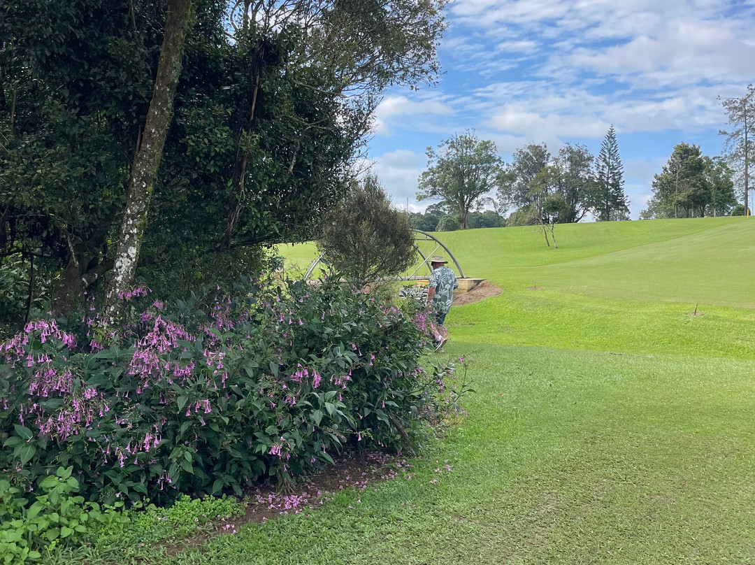 Millaa Millaa Golf Club-Millaa Millaa必去景点