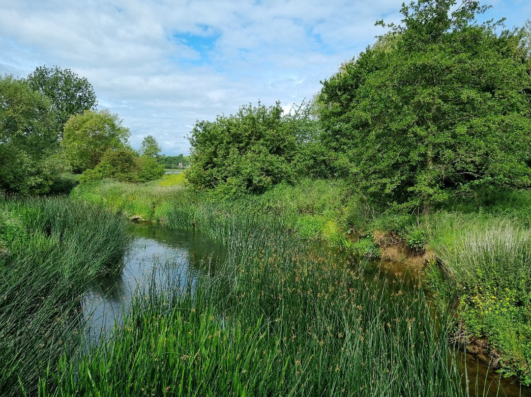 Stanwick Lakes-Stanwick必去景点
