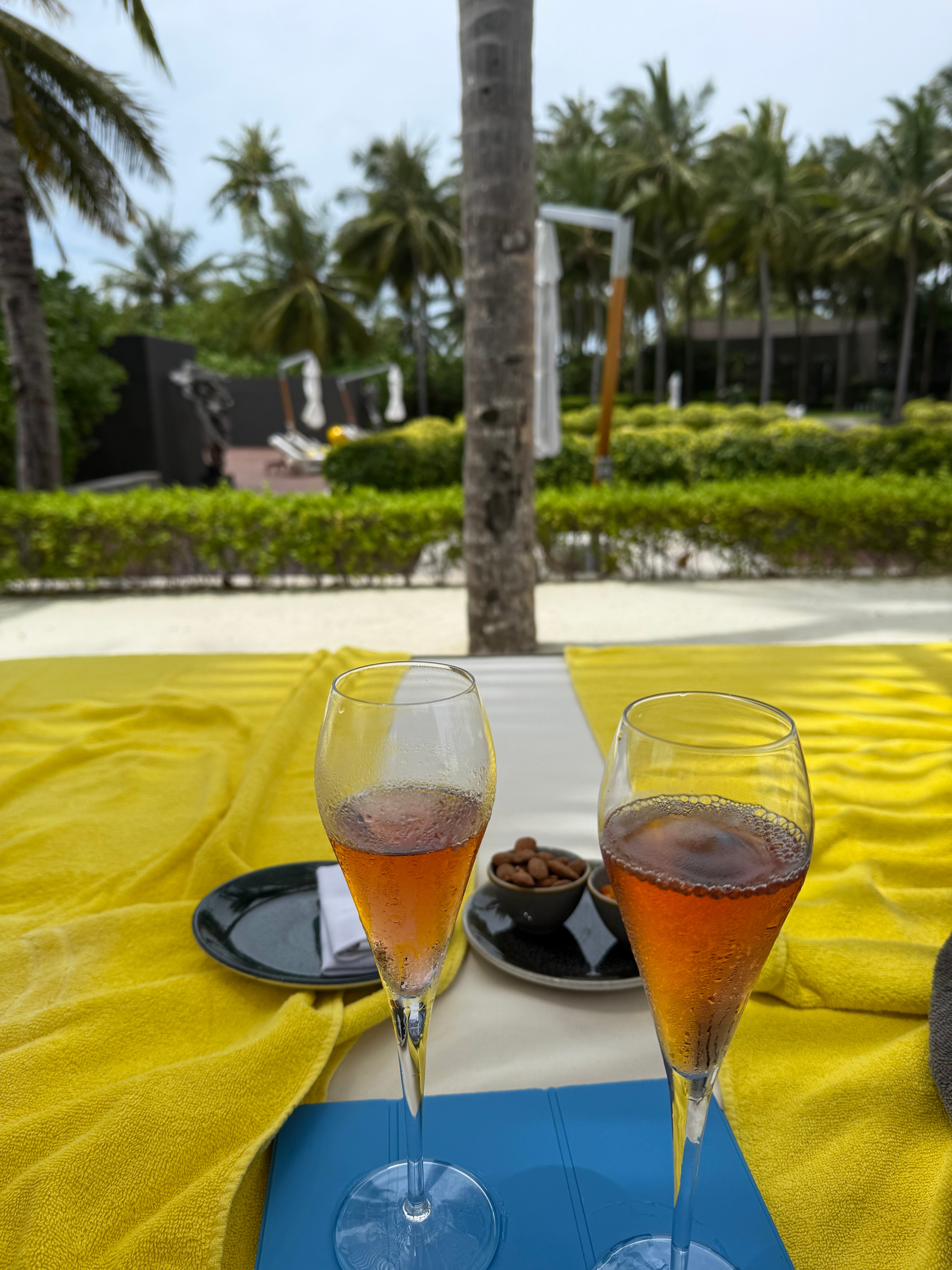 白马庄园度假酒店-泳池