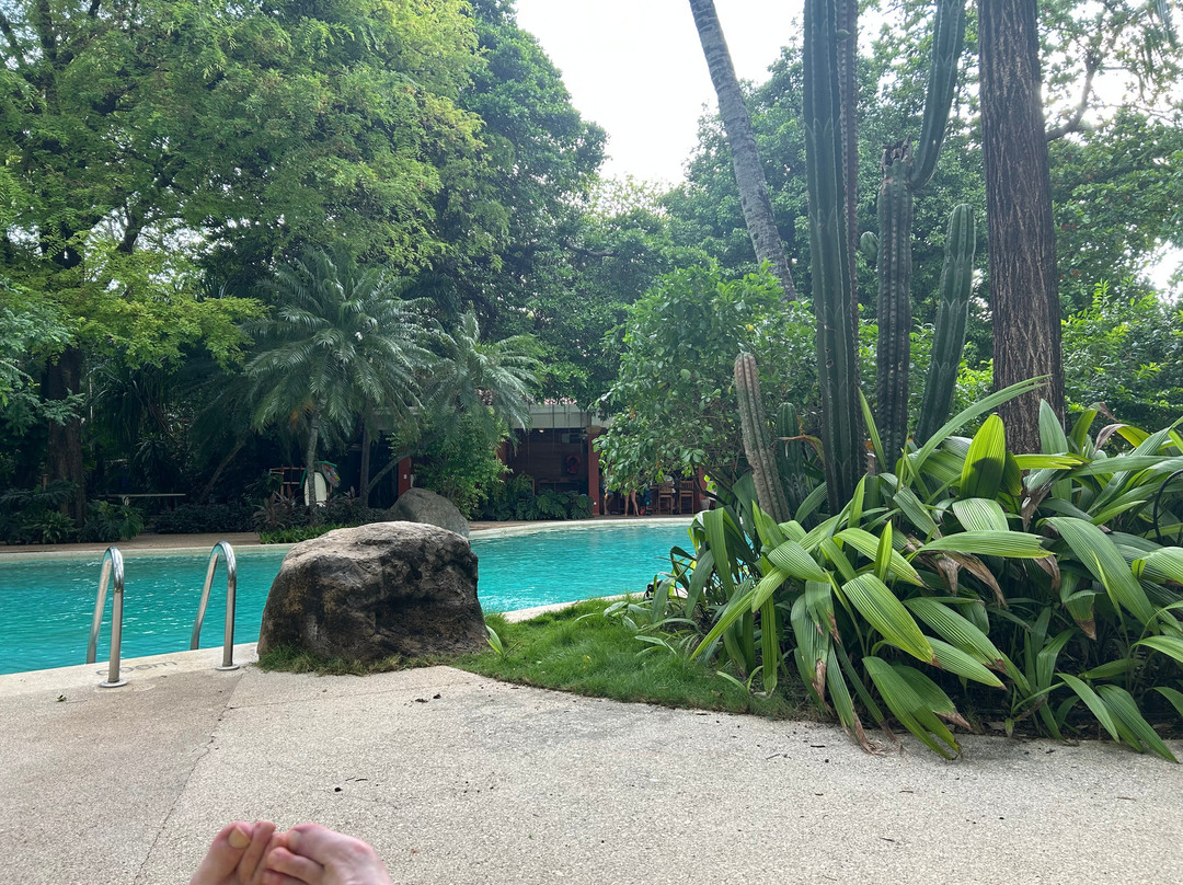 Capitán Suizo Beachfront Boutique Hotel主图