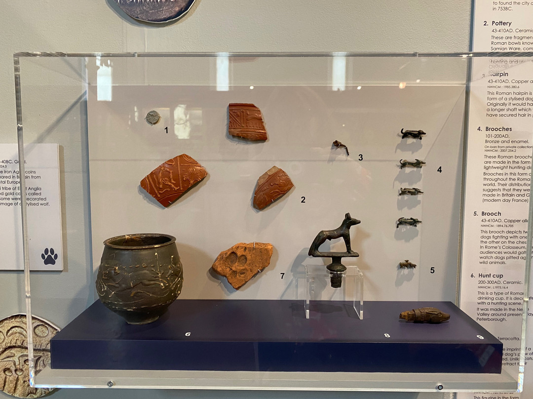 Lynn Museum-金斯林必去景点