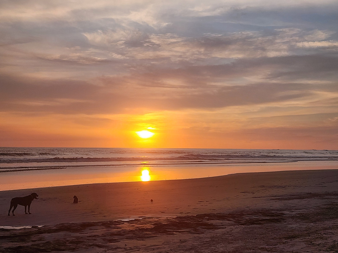 Soulshine Hotel & Restaurant主图