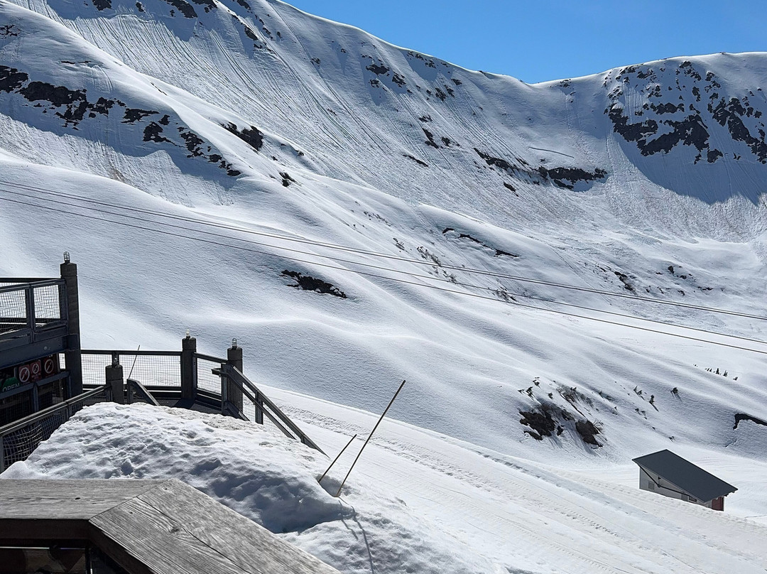 Alyeska Aerial Tramway-戈德伍德必去景点