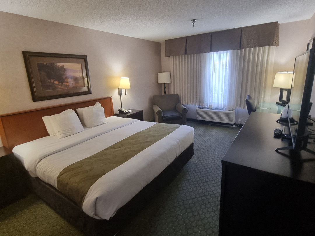 Quality Inn & Suites主图