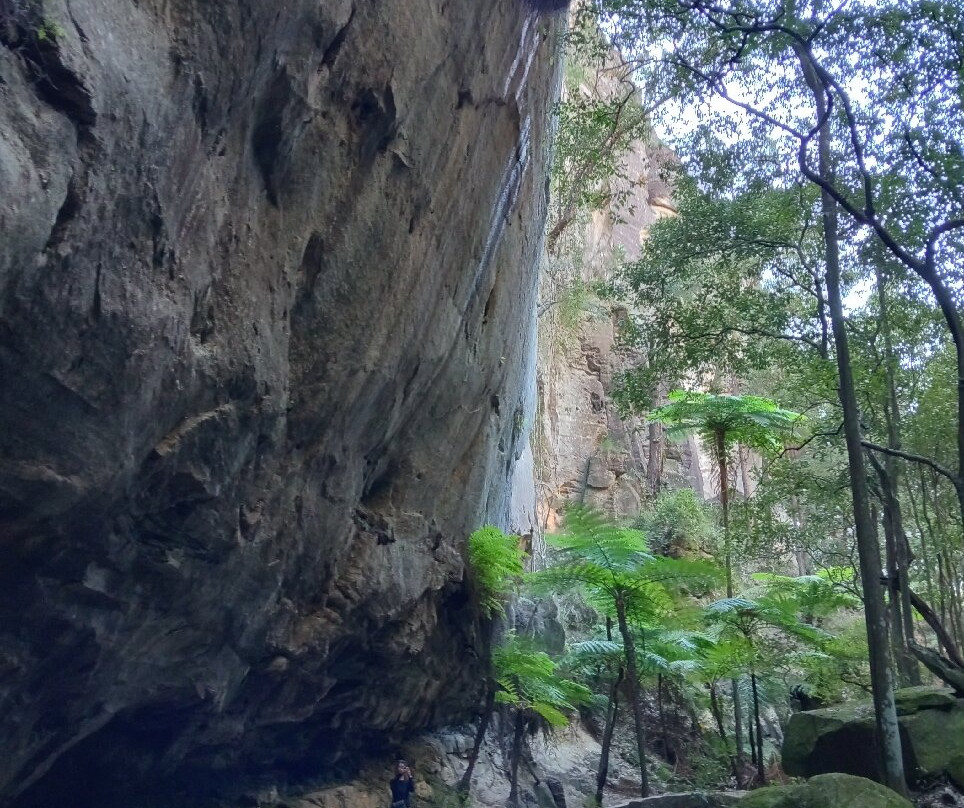 Carnarvon Gorge景点图片