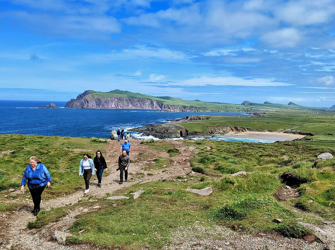 Irish Experience Tours-科克必去景点