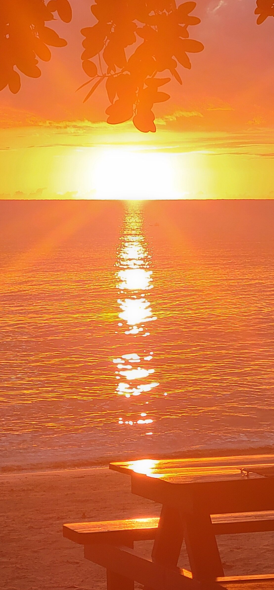 Sunset At The Palms-泳池