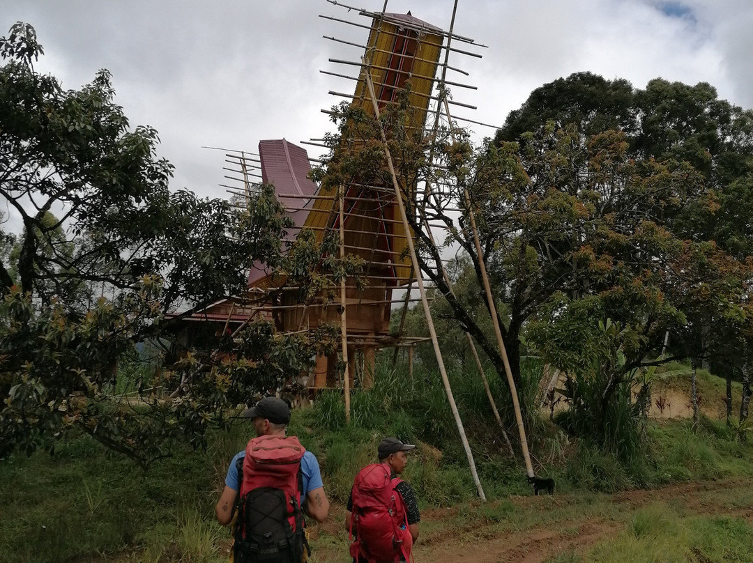 Tana Toraja Tours景点图片