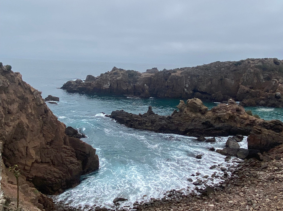 Baja Blue Diver-恩塞纳达必去景点