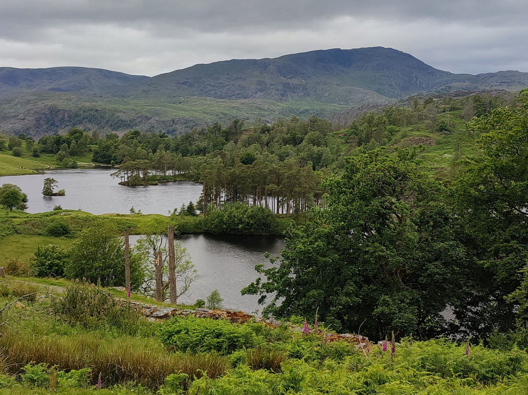 Yewfield Vegetarian Guesthouse主图
