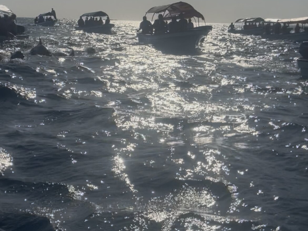 Zanleisuretours & Safaris-桑给巴尔市必去景点