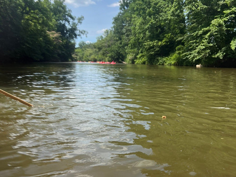 Wild Bear Tubing-塞维尔维尔必去景点