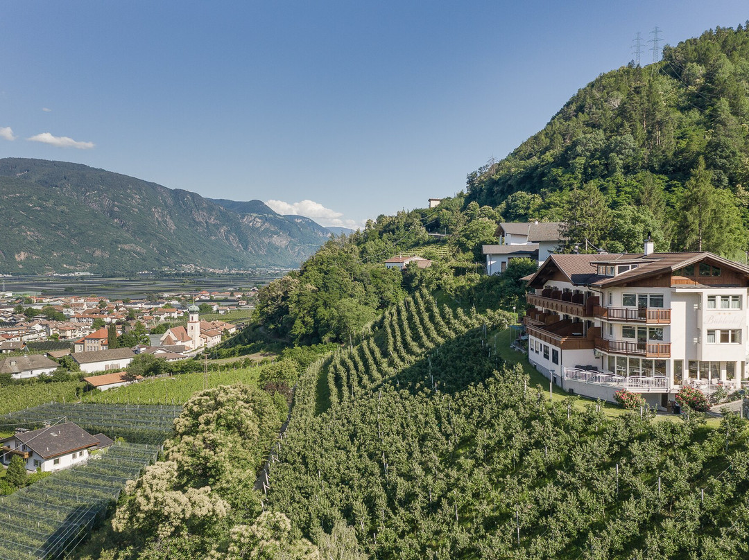 Panorama Hotel Garni Buehlerhof主图
