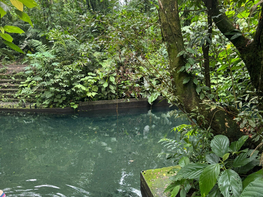 Super Quads-圣卡洛斯必去景点