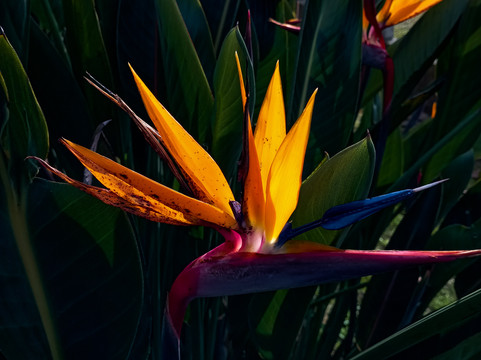 Praca Regional da Uva-Otavio Rocha必去景点